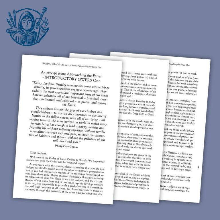 Experience Your First Bardic Lesson
